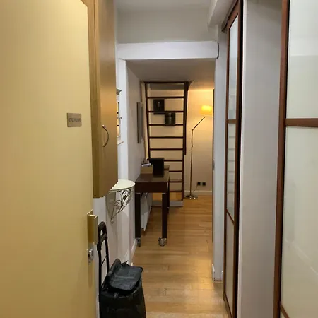 Confort A Paris, 8eme, Galerie Lafayette, Louvre, Champs Elysee Apartment *
